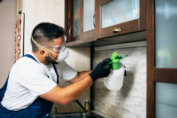 Best Cockroach Control Services  in Greenwood, MS